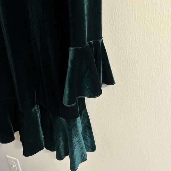 See and Be Seen Green Velvet Dress Small Long Sleeve Flounce Hem - Picture 5 of 7
